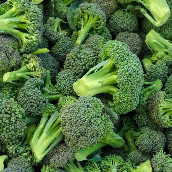 Brocolli