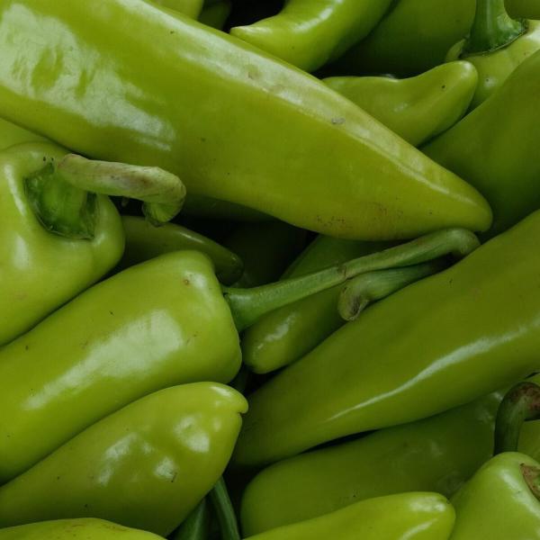 Bullet Chillies