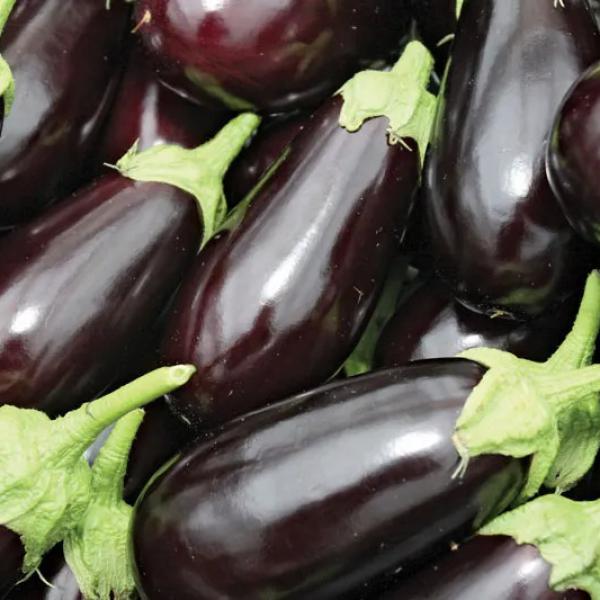 Egg Plant