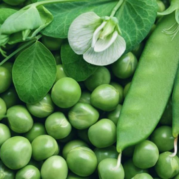 Peas